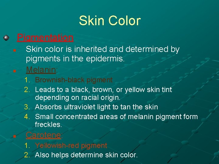 Skin Color Pigmentation n n Skin color is inherited and determined by pigments in