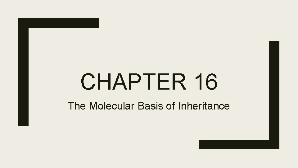 CHAPTER 16 The Molecular Basis of Inheritance 