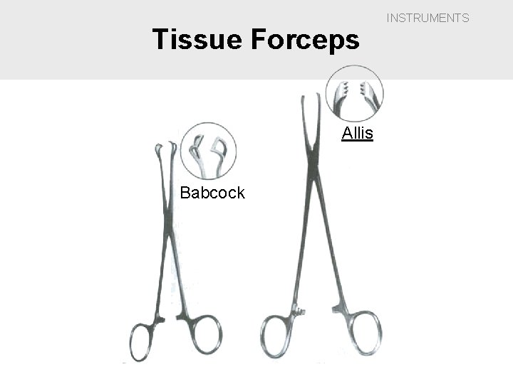 Tissue Forceps Allis Babcock INSTRUMENTS 