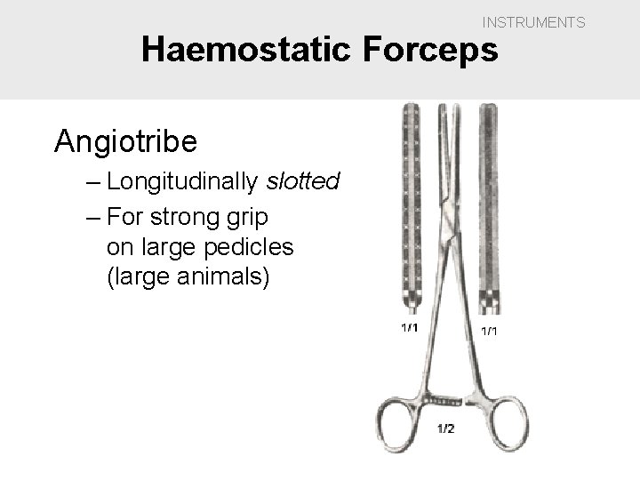 INSTRUMENTS Haemostatic Forceps Angiotribe – Longitudinally slotted – For strong grip on large pedicles