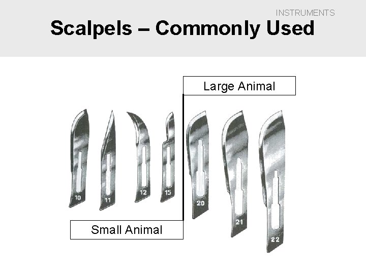 INSTRUMENTS Scalpels – Commonly Used Large Animal Small Animal 
