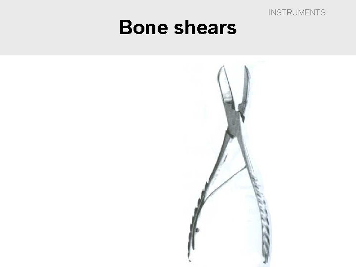 Bone shears INSTRUMENTS 