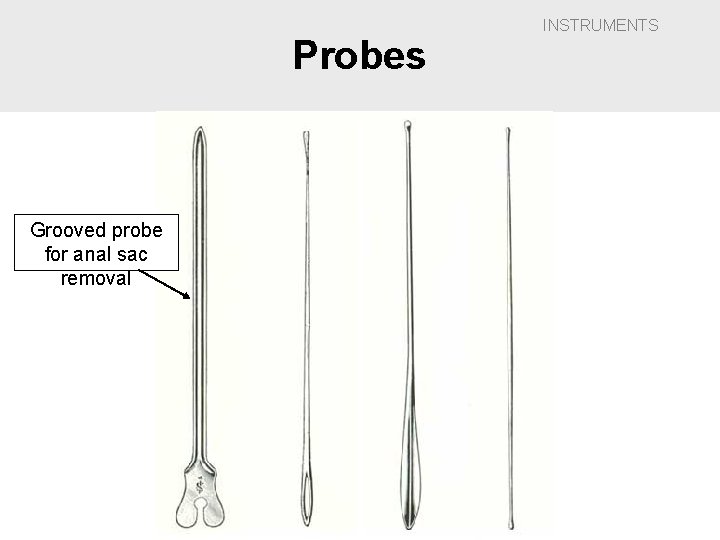 Probes Grooved probe for anal sac removal INSTRUMENTS 