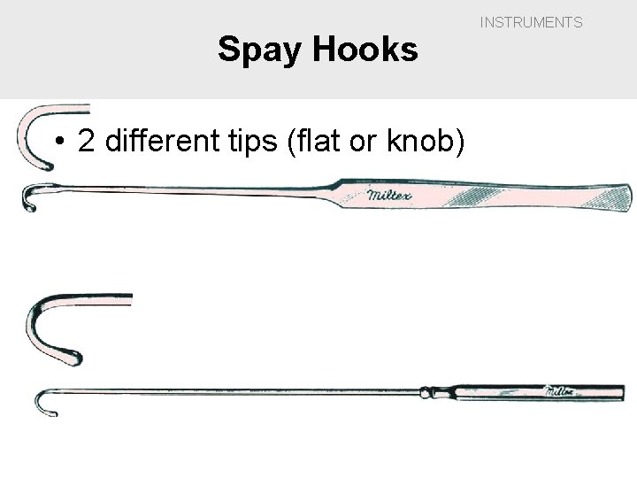 Spay Hooks • 2 different tips (flat or knob) INSTRUMENTS 