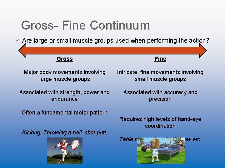 Gross- Fine Continuum ü Are large or small muscle groups used when performing the