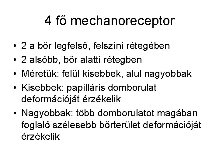 4 fő mechanoreceptor • • 2 a bőr legfelső, felszíni rétegében 2 alsóbb, bőr