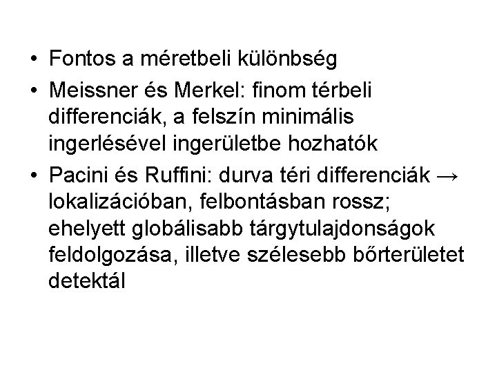  • Fontos a méretbeli különbség • Meissner és Merkel: finom térbeli differenciák, a