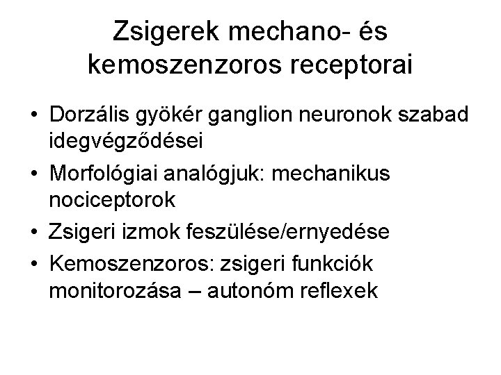 Zsigerek mechano- és kemoszenzoros receptorai • Dorzális gyökér ganglion neuronok szabad idegvégződései • Morfológiai