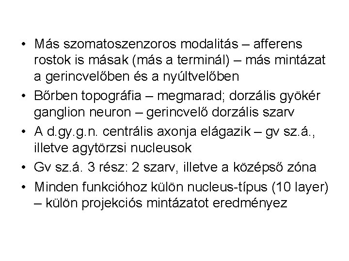  • Más szomatoszenzoros modalitás – afferens rostok is másak (más a terminál) –