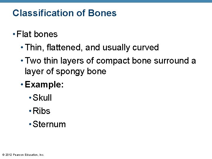 Classification of Bones • Flat bones • Thin, flattened, and usually curved • Two