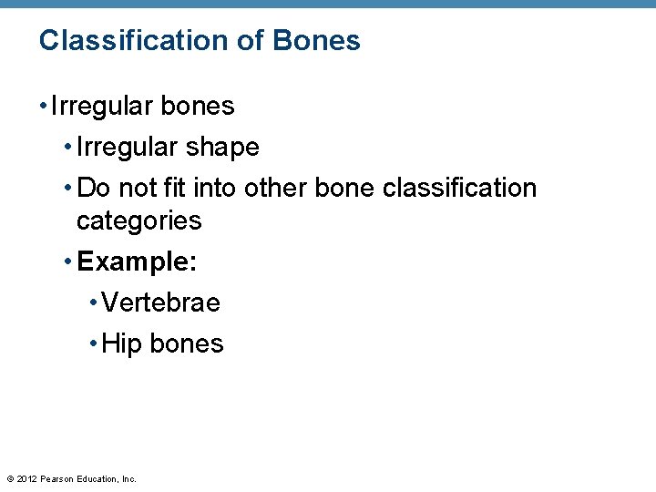 Classification of Bones • Irregular bones • Irregular shape • Do not fit into