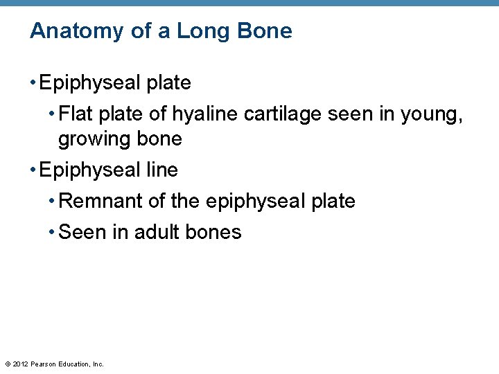 Anatomy of a Long Bone • Epiphyseal plate • Flat plate of hyaline cartilage
