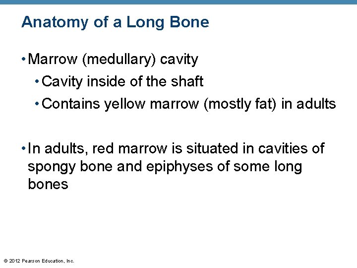 Anatomy of a Long Bone • Marrow (medullary) cavity • Cavity inside of the