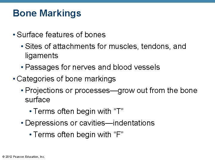 Bone Markings • Surface features of bones • Sites of attachments for muscles, tendons,