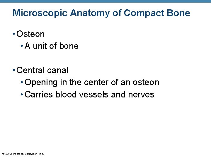 Microscopic Anatomy of Compact Bone • Osteon • A unit of bone • Central