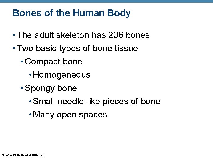 Bones of the Human Body • The adult skeleton has 206 bones • Two