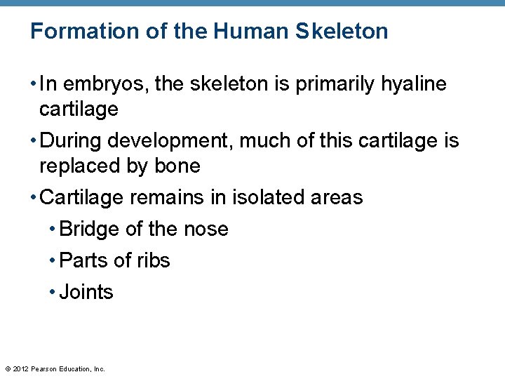 Formation of the Human Skeleton • In embryos, the skeleton is primarily hyaline cartilage