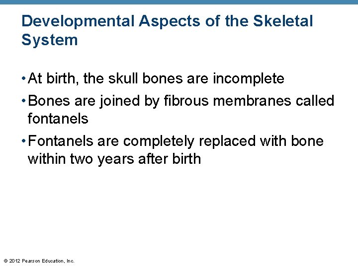 Developmental Aspects of the Skeletal System • At birth, the skull bones are incomplete