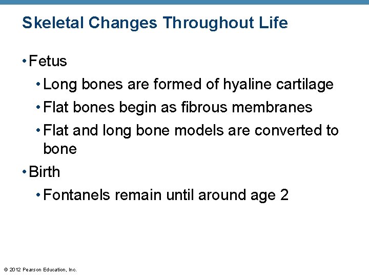 Skeletal Changes Throughout Life • Fetus • Long bones are formed of hyaline cartilage