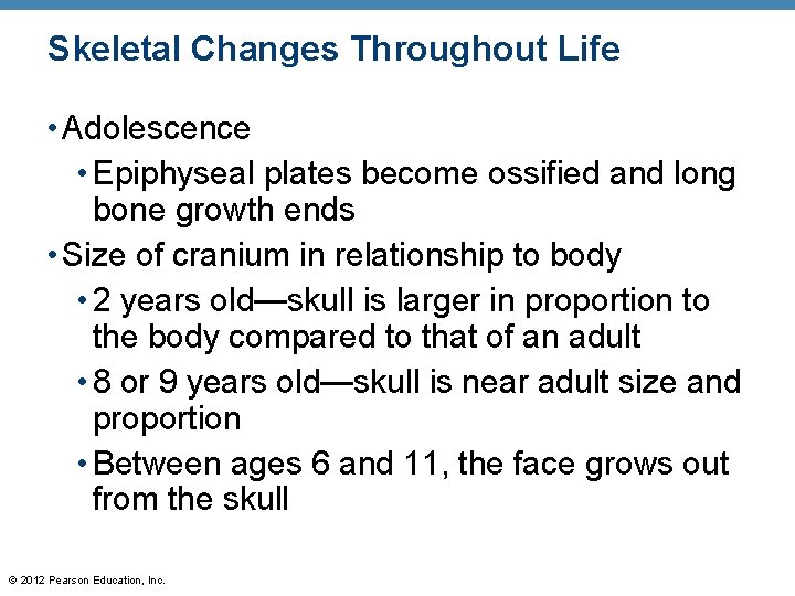 Skeletal Changes Throughout Life • Adolescence • Epiphyseal plates become ossified and long bone