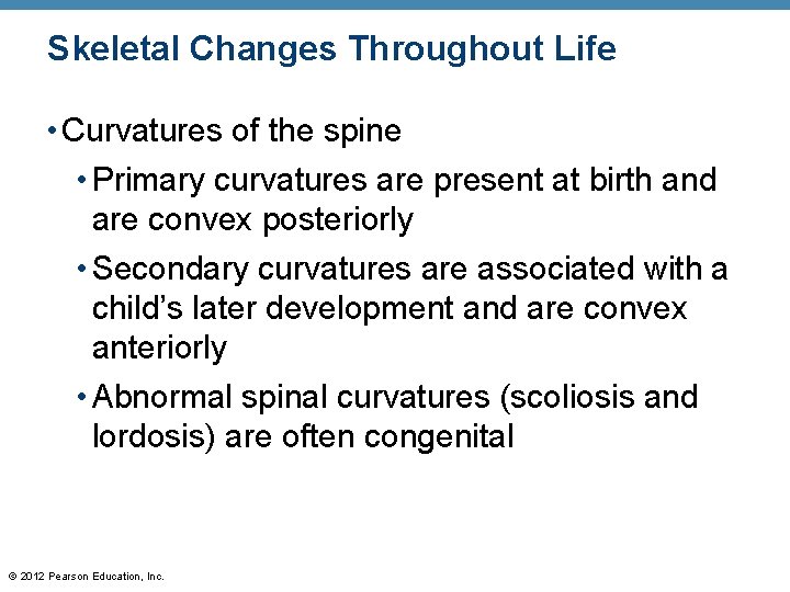 Skeletal Changes Throughout Life • Curvatures of the spine • Primary curvatures are present