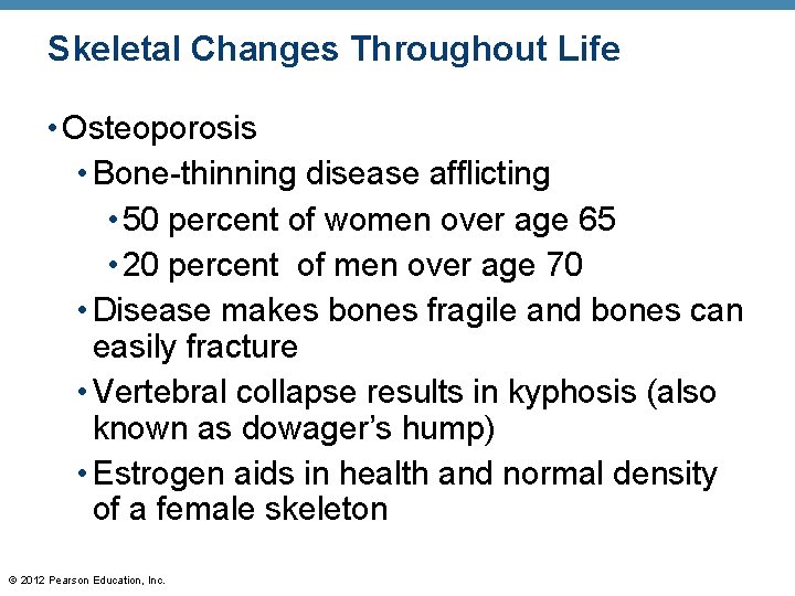 Skeletal Changes Throughout Life • Osteoporosis • Bone-thinning disease afflicting • 50 percent of