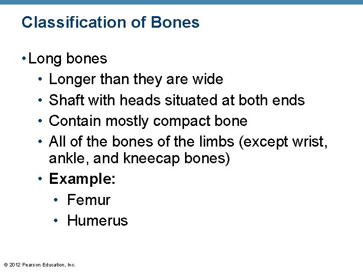 Classification of Bones • Long bones • Longer than they are wide • Shaft