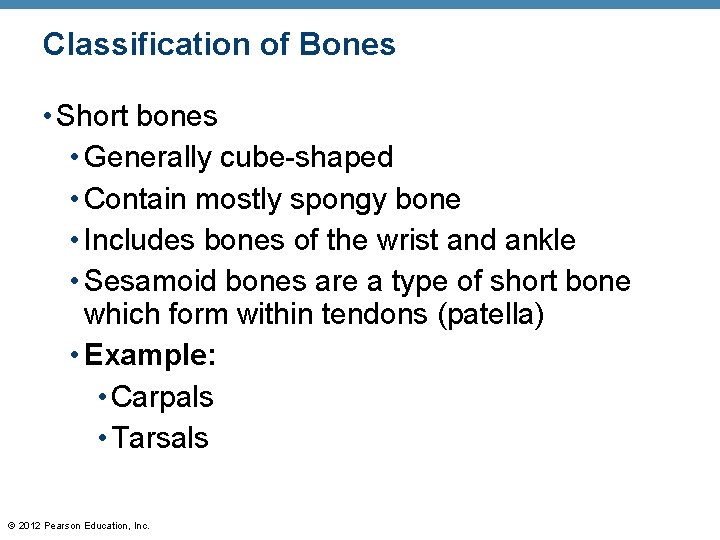 Classification of Bones • Short bones • Generally cube-shaped • Contain mostly spongy bone