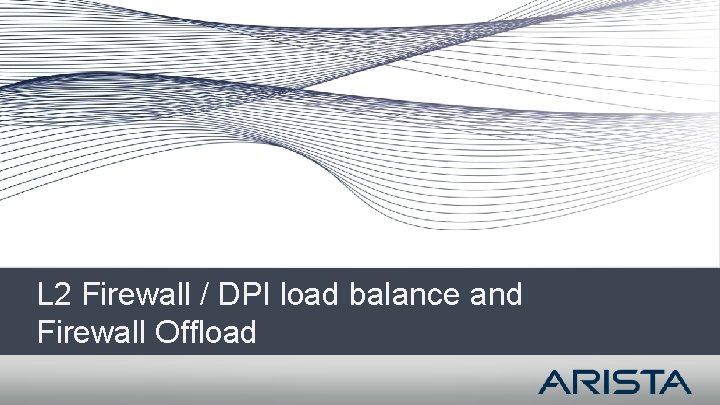 L 2 Firewall / DPI load balance and Firewall Offload L 2 Firewall / DPI load balance and Firewall Offload