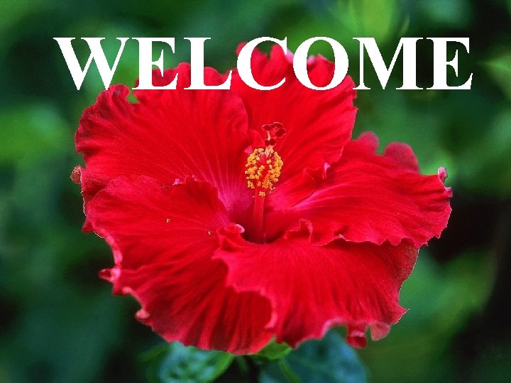 WELCOME 