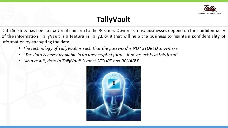 Tally. Vault Data Security has been a matter of concern to the Business Owner