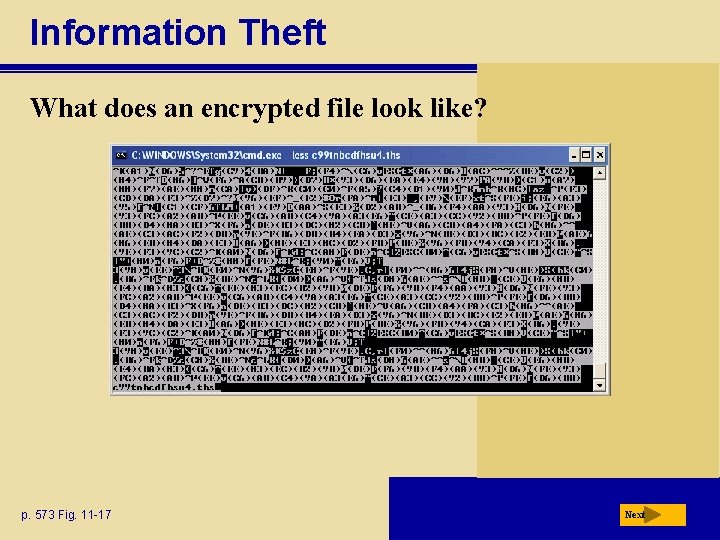 Information Theft What does an encrypted file look like? p. 573 Fig. 11 -17