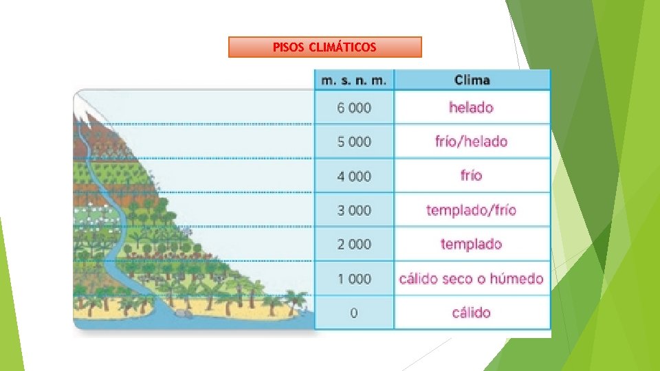 PISOS CLIMÁTICOS 