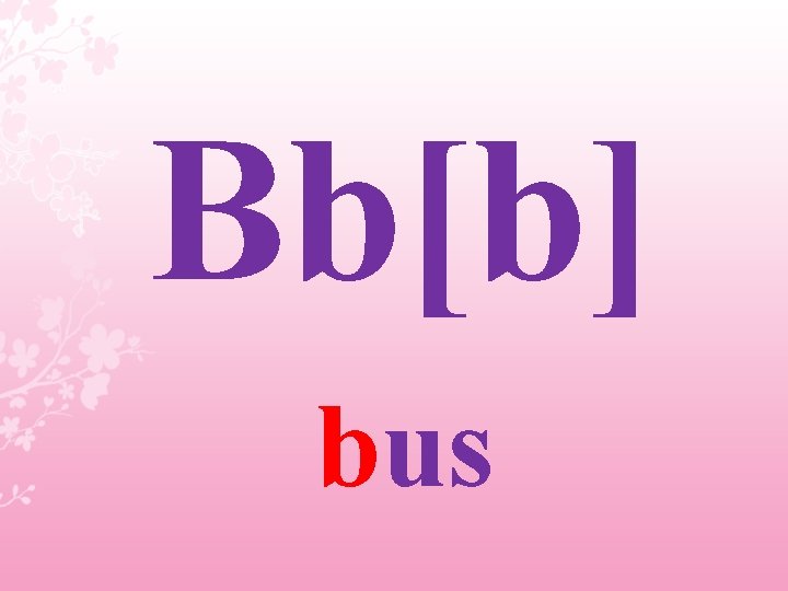 Bb[b] bus 