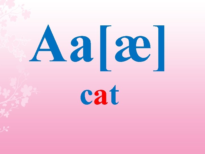 Aa[æ] cat 