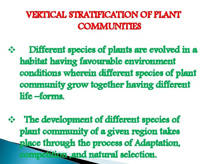 VERTICAL STRATIFICATION OF PLANT COMMUNITIES v Different species of plants are evolved in a