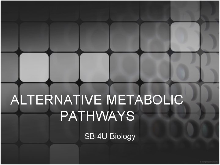 ALTERNATIVE METABOLIC PATHWAYS SBI 4 U Biology 