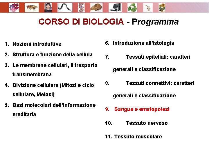 CORSO DI BIOLOGIA - Programma 1. Nozioni introduttive 6. Introduzione all'istologia 2. Struttura e