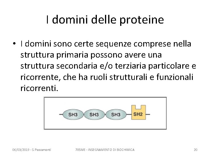 I domini delle proteine • I domini sono certe sequenze comprese nella struttura primaria