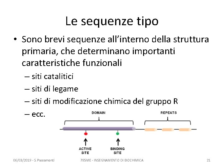 Le sequenze tipo • Sono brevi sequenze all’interno della struttura primaria, che determinano importanti