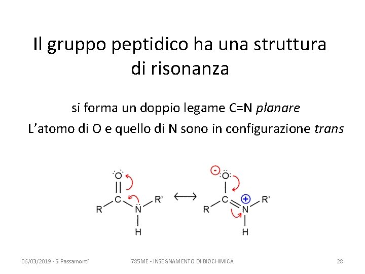 Il gruppo peptidico ha una struttura di risonanza si forma un doppio legame C=N