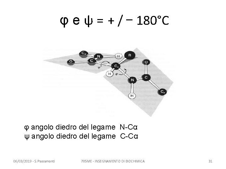 φ e ψ = + / – 180°C φ angolo diedro del legame N-Cα