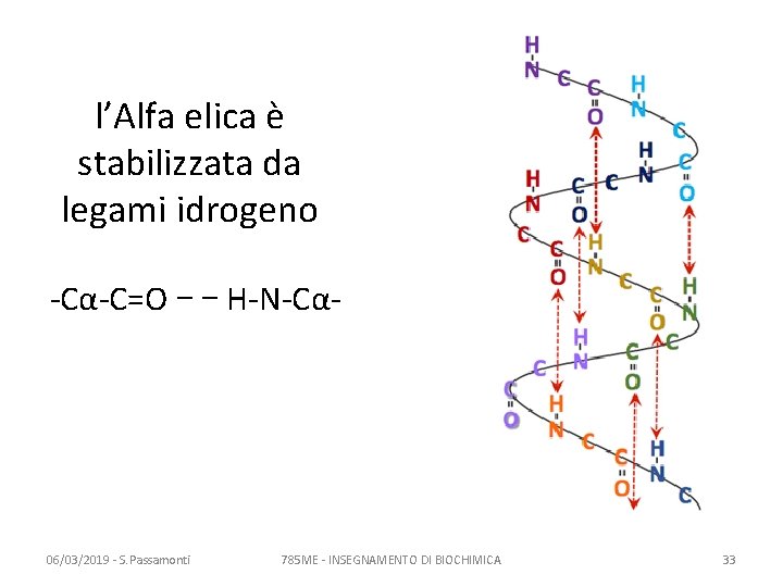 l’Alfa elica è stabilizzata da legami idrogeno -Cα-C=O - - H-N-Cα- 06/03/2019 - S.