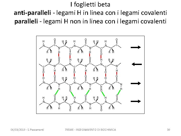 I foglietti beta anti-paralleli - legami H in linea con i legami covalenti paralleli