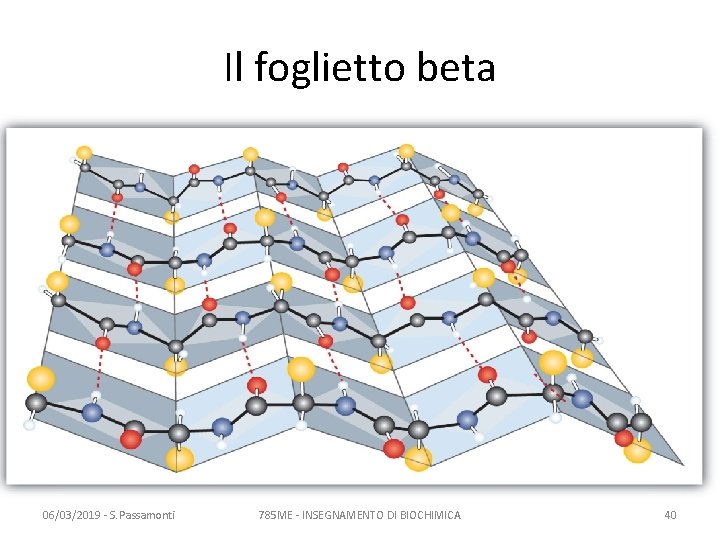 Il foglietto beta 06/03/2019 - S. Passamonti 785 ME - INSEGNAMENTO DI BIOCHIMICA 40 Il foglietto beta 06/03/2019 - S. Passamonti 785 ME - INSEGNAMENTO DI BIOCHIMICA 40