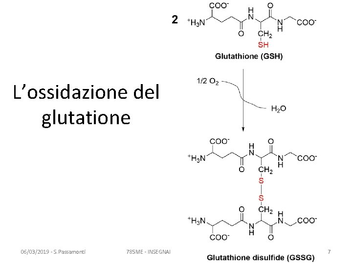 L’ossidazione del glutatione 06/03/2019 - S. Passamonti 785 ME - INSEGNAMENTO DI BIOCHIMICA 7