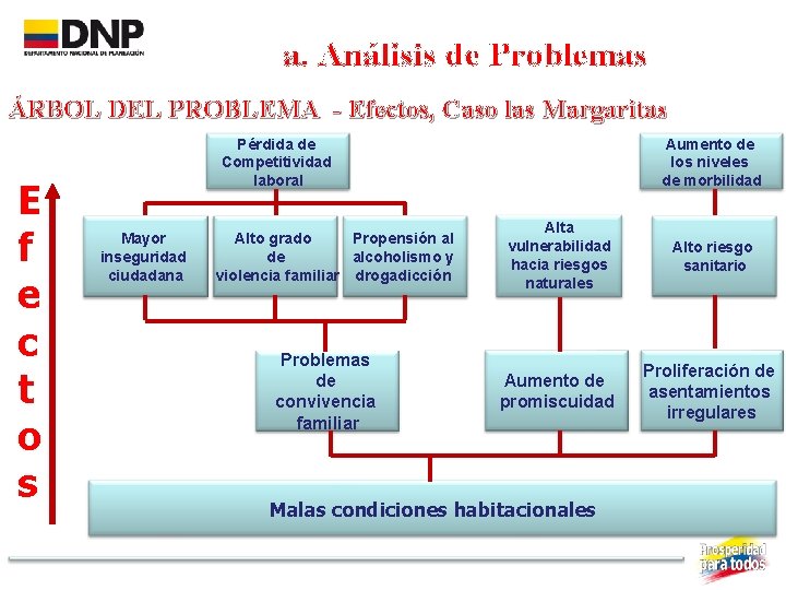 a. Análisis de Problemas ÁRBOL DEL PROBLEMA - Efectos, Caso las Margaritas E f