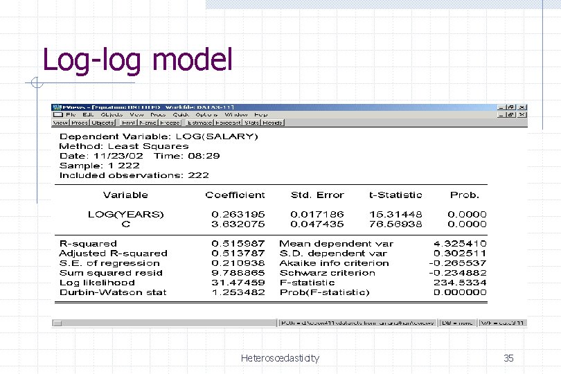 Log-log model Heteroscedasticity 35 