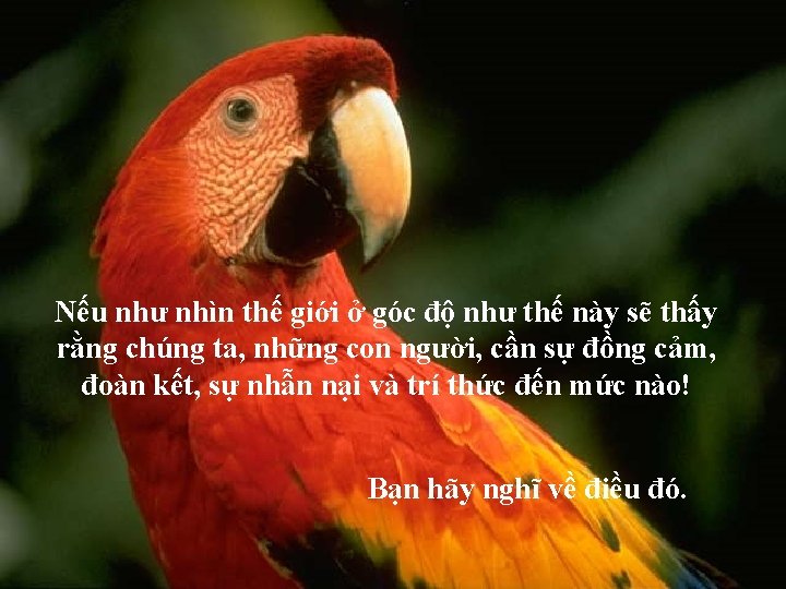 Nếu như nhìn thế giới ở góc độ như thế này sẽ thấy rằng