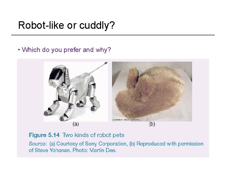 Robot-like or cuddly? • Which do you prefer and why? 